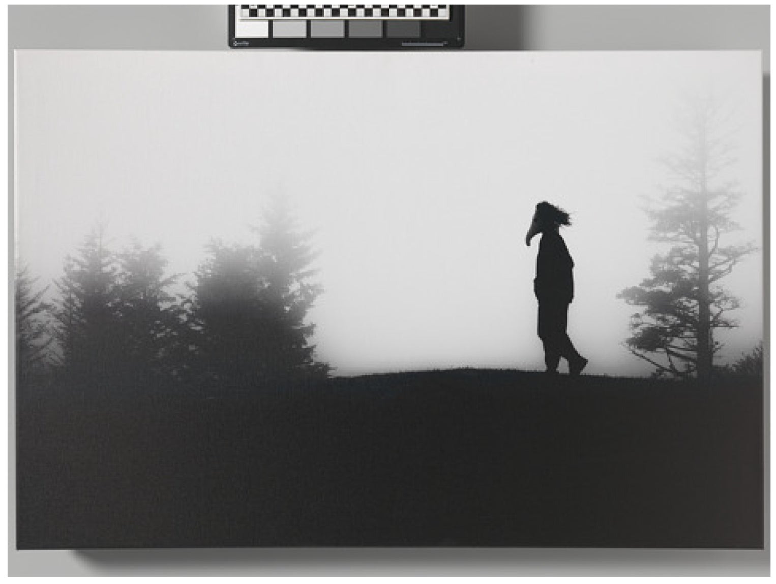 A photograph of a painting of a silhouette of a person of Cherokee descent.