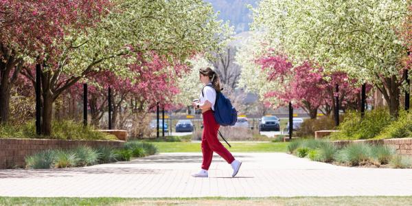 a student walking across campus in spring