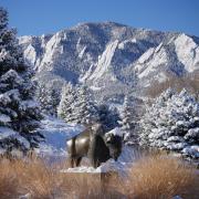 a snow-covered buffalo statue on campus with the Flatirons in the distance