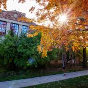 Sun peaking through golden leaves on campus